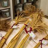 Si tratta di sei grani teneri (maiorca rossa, maiorca, germanella, gentil rosso, carosella e bianchetta)... 